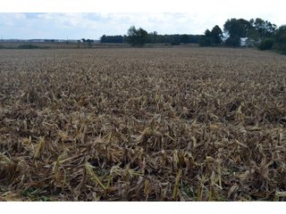 Property photo 53 - EHLE FARMS AUCTION - 118+/- ACRES IN 9 TRACTS IN ALLEN COUNTY, INDIANA